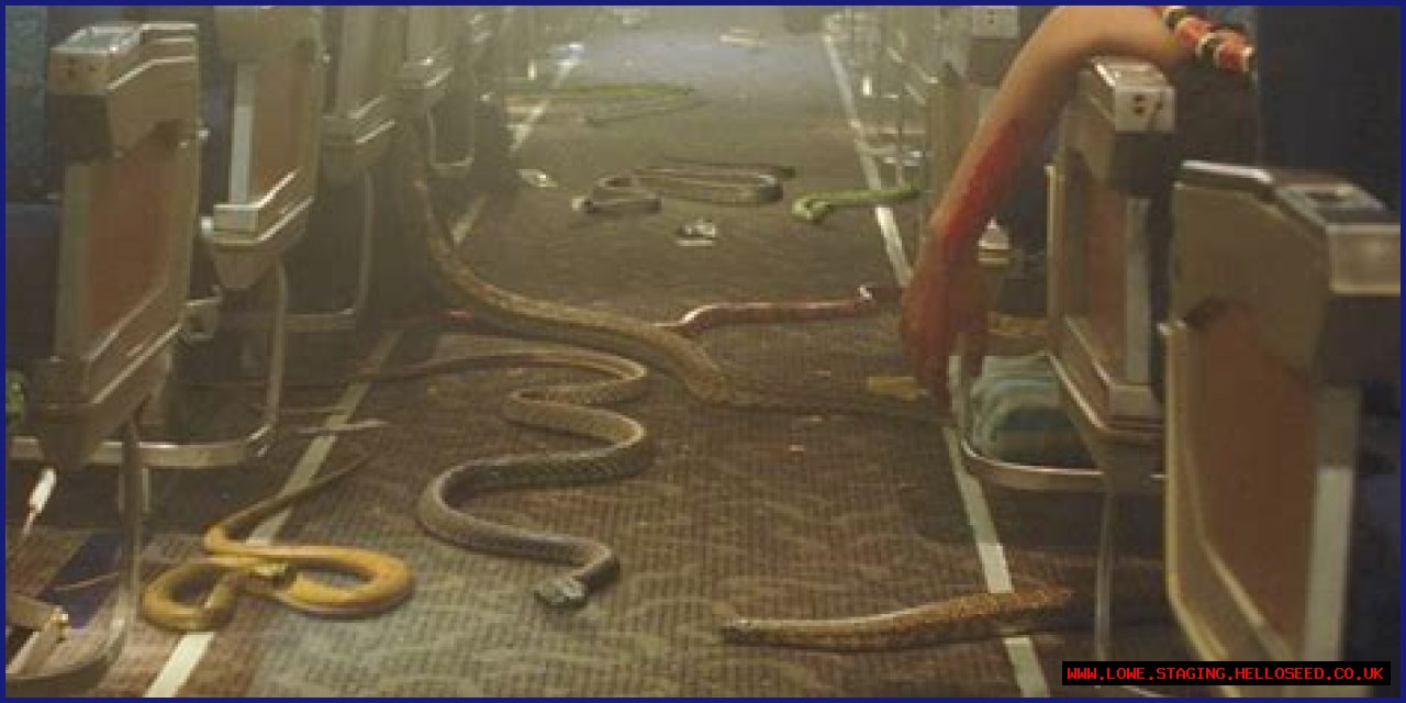 Is 'Plane' Rooted In Reality?