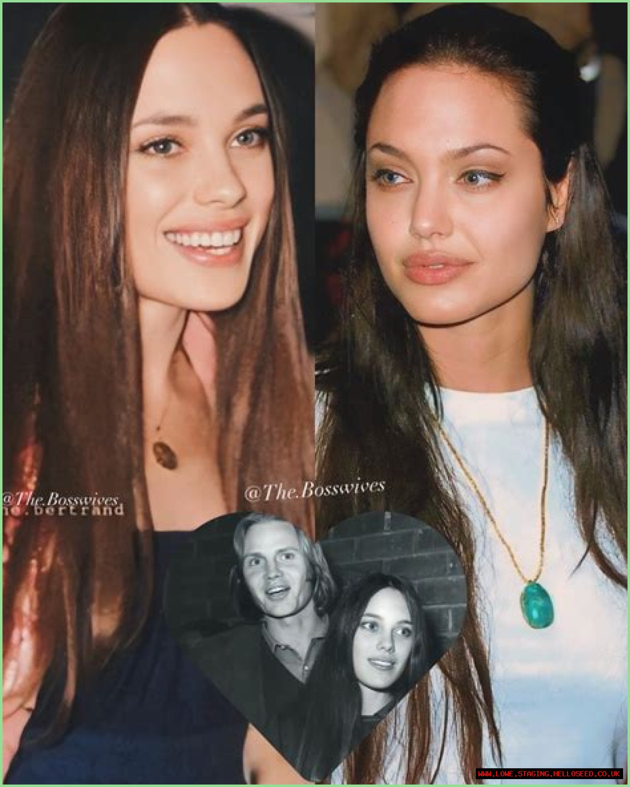 Marcheline Bertrand: A Deep Dive Into The Life Of Angelina Jolie's Beloved Mother